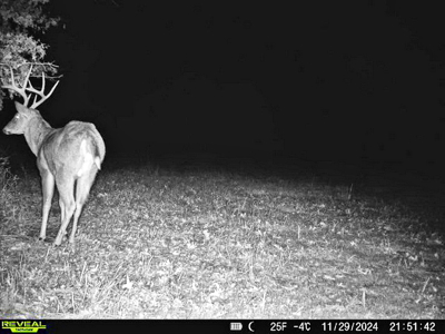 Recreational Land and Build-Sites for Sale in Cedar County MO - image 31