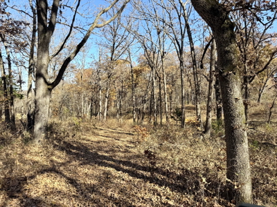 Recreational Land and Build-Sites for Sale in Cedar County MO - image 35