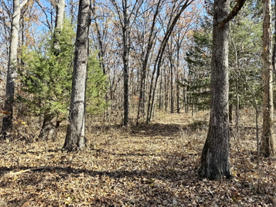 Recreational Land and Build-Sites for Sale in Cedar County MO - image 32
