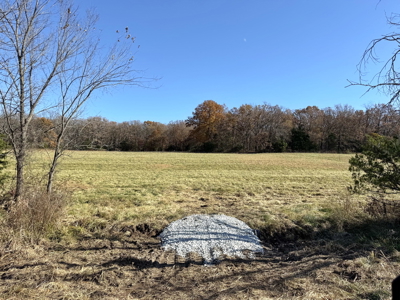 Recreational Land and Build-Sites for Sale in Cedar County MO - image 15