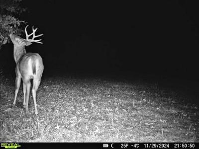 Recreational Land and Build-Sites for Sale in Cedar County MO - image 30