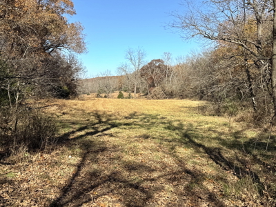 Recreational Land and Build-Sites for Sale in Cedar County MO - image 37