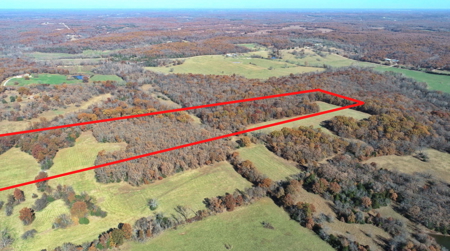 Recreational Land and Build-Sites for Sale in Cedar County MO - image 4