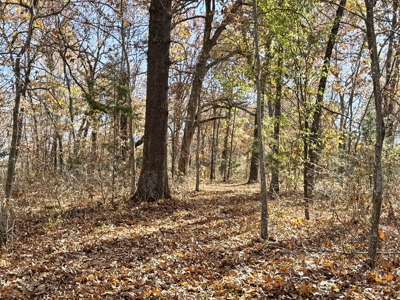 Recreational Land and Build-Sites for Sale in Cedar County MO - image 43