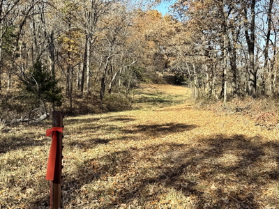 Recreational Land and Build-Sites for Sale in Cedar County MO - image 38