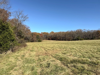 Recreational Land and Build-Sites for Sale in Cedar County MO - image 16