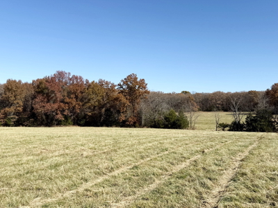 Recreational Land and Build-Sites for Sale in Cedar County MO - image 14