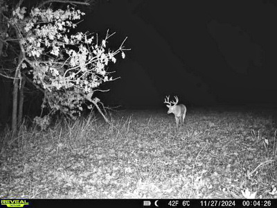 Recreational Land and Build-Sites for Sale in Cedar County MO - image 27