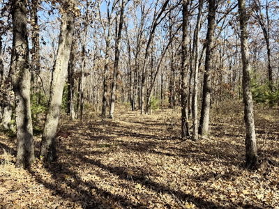 Recreational Land and Build-Sites for Sale in Cedar County MO - image 34