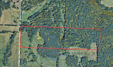 Recreational Land and Build-Sites for Sale in Cedar County MO - image 9