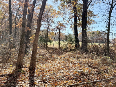 Recreational Land and Build-Sites for Sale in Cedar County MO - image 44