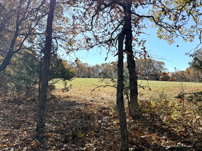 Recreational Land and Build-Sites for Sale in Cedar County MO - image 45