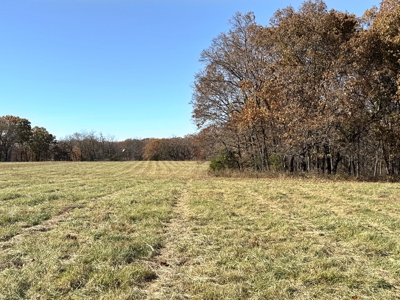 Recreational Land and Build-Sites for Sale in Cedar County MO - image 48