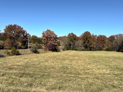 Recreational Land and Build-Sites for Sale in Cedar County MO - image 13