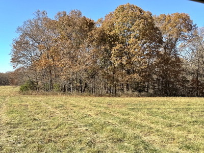 Recreational Land and Build-Sites for Sale in Cedar County MO - image 49