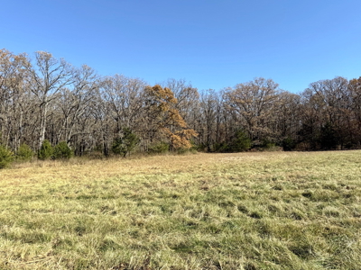 Recreational Land and Build-Sites for Sale in Cedar County MO - image 17