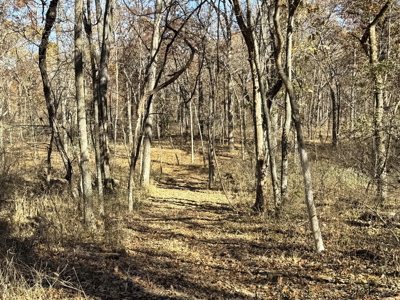 Recreational Land and Build-Sites for Sale in Cedar County MO - image 39