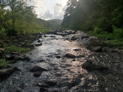 Little River Ranch Home For Sale - image 49