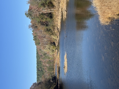 Little River Ranch Home For Sale - image 10