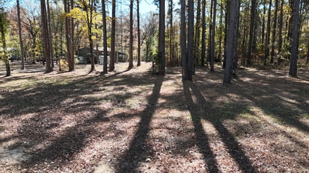 Little River Ranch Home For Sale - image 17