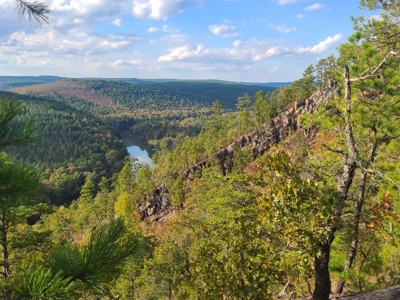 Little River Ranch Home For Sale - image 44