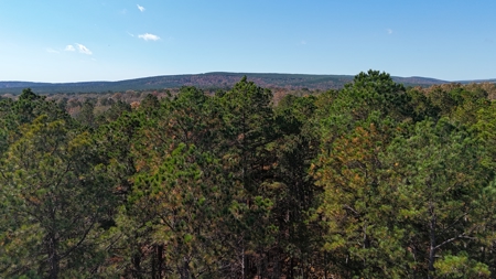 Little River Ranch Home For Sale - image 16