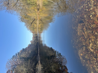 Little River Ranch Home For Sale - image 9