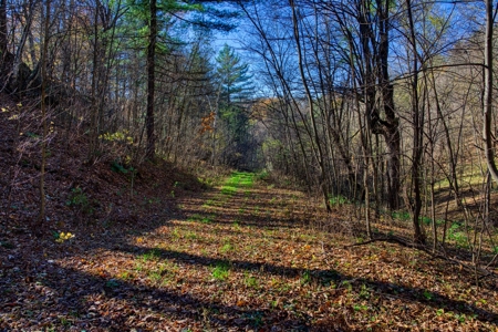 Windy Ridge – Conservation Homestead – 187 ± Acres in Monroe Cty - image 33