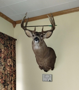 Windy Ridge – Conservation Homestead – 187 ± Acres in Monroe Cty - image 6