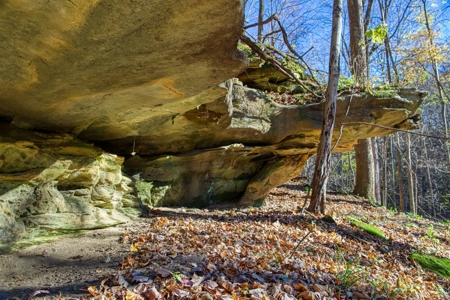 Windy Ridge – Conservation Homestead – 187 ± Acres in Monroe Cty - image 2