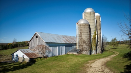 Windy Ridge – Conservation Homestead – 187 ± Acres in Monroe Cty - image 42