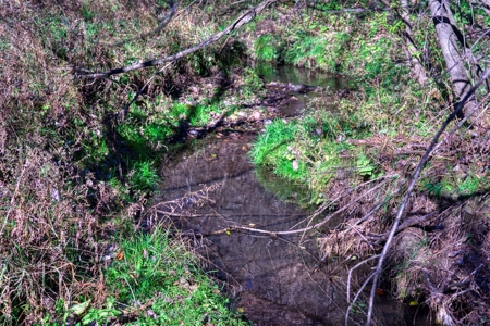 Windy Ridge – Conservation Homestead – 187 ± Acres in Monroe Cty - image 37