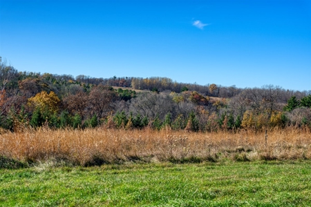 Windy Ridge – Conservation Homestead – 187 ± Acres in Monroe Cty - image 30