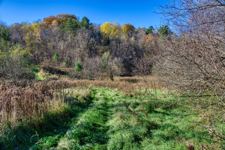 Windy Ridge – Conservation Homestead – 187 ± Acres in Monroe Cty - image 34