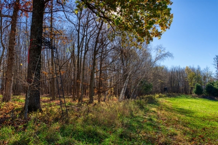Windy Ridge – Conservation Homestead – 187 ± Acres in Monroe Cty - image 40