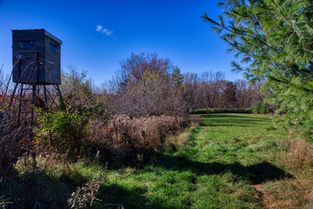 Windy Ridge – Conservation Homestead – 187 ± Acres in Monroe Cty - image 31