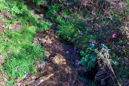 Windy Ridge – Conservation Homestead – 187 ± Acres in Monroe Cty - image 36