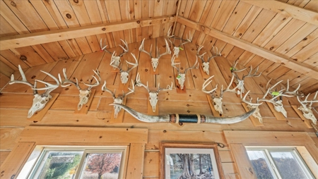 Windy Ridge – Conservation Homestead – 187 ± Acres in Monroe Cty - image 26