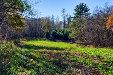 Windy Ridge – Conservation Homestead – 187 ± Acres in Monroe Cty - image 38