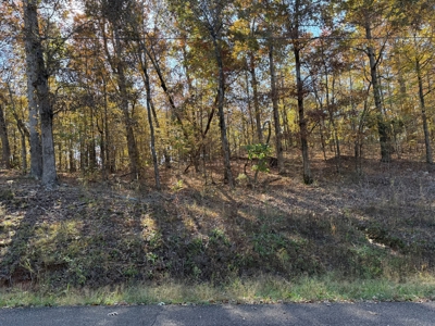 Land Lot To Build On For Sale In Hardin County Tn - image 1