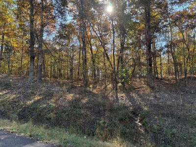 Land Lot To Build On For Sale In Hardin County Tn - image 2
