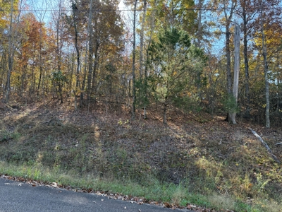 Land To Build A Home On In Hardin County Tn - image 1