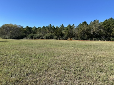 East Texas Lots For Sale (Alto Texas) - image 2
