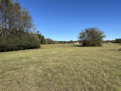 East Texas Lots For Sale (Alto Texas) - image 5