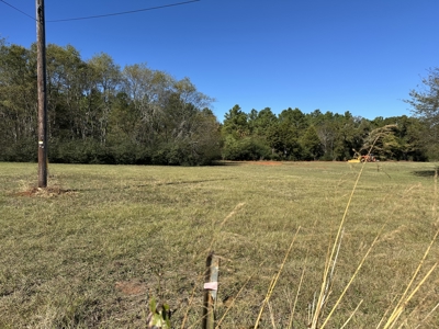 East Texas Lots For Sale (Alto Texas) - image 3