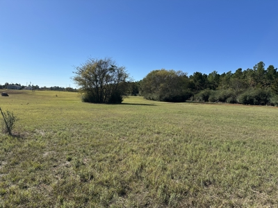 East Texas Lots For Sale (Alto Texas) - image 1