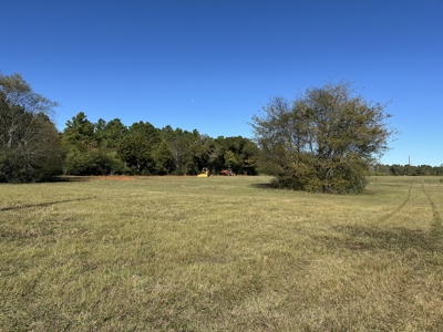 East Texas Lots For Sale (Alto Texas) - image 4