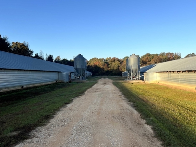 4 House Broiler Farm with Residence for Sale Downsville, LA - image 42