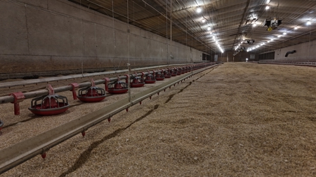 4 House Broiler Farm with Residence for Sale Downsville, LA - image 12