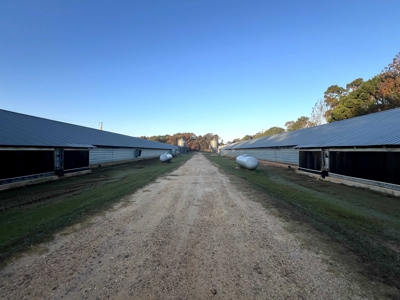 4 House Broiler Farm with Residence for Sale Downsville, LA - image 21